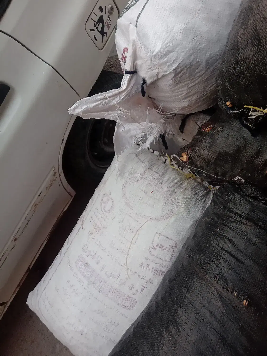 بلوط فروشی|لوازم جانبی حیوانات|جوانرود, |دیوار