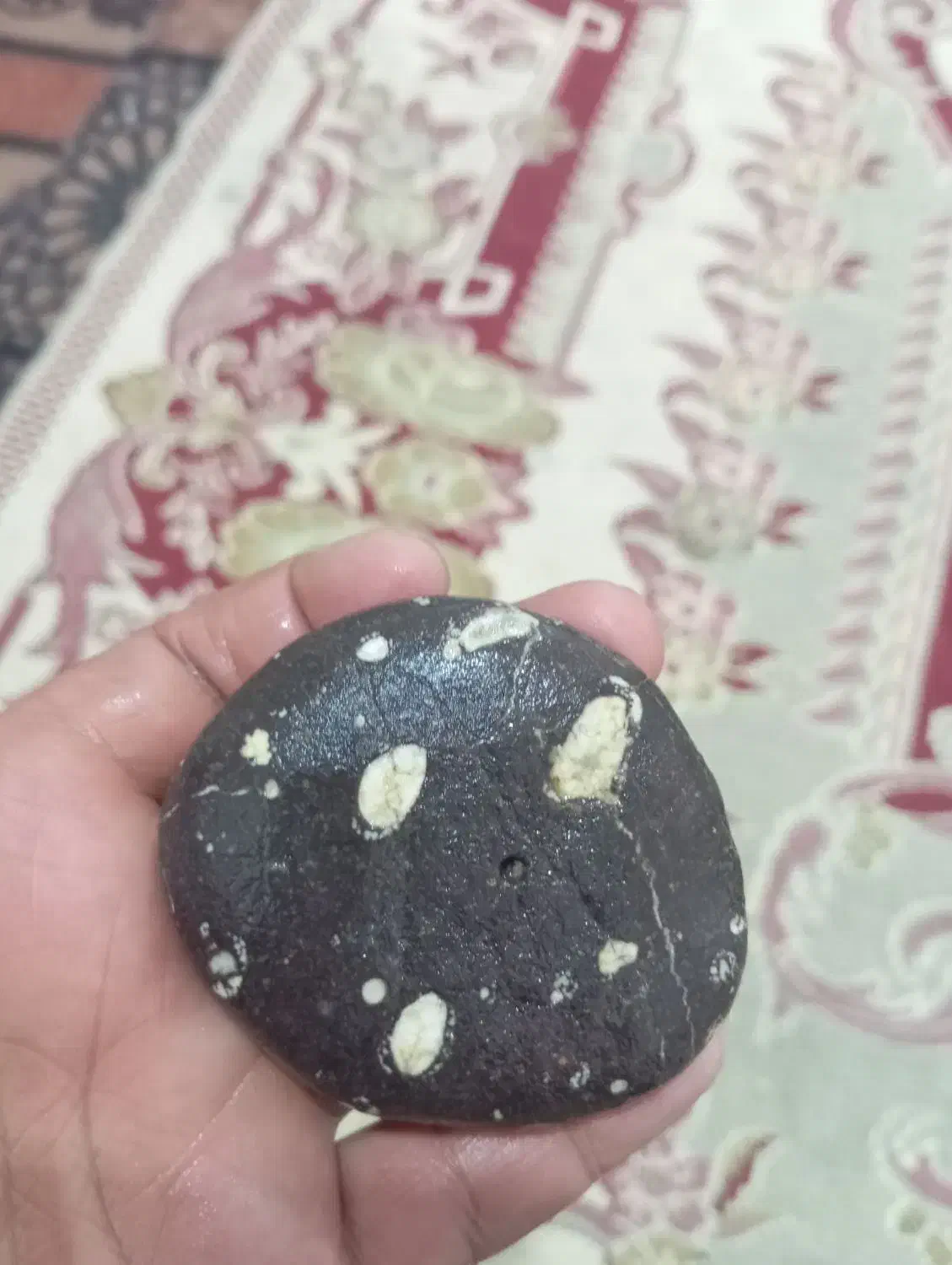 این سنگ بفروش میرسد|جواهرات|شیراز, شهرک رضوان|دیوار