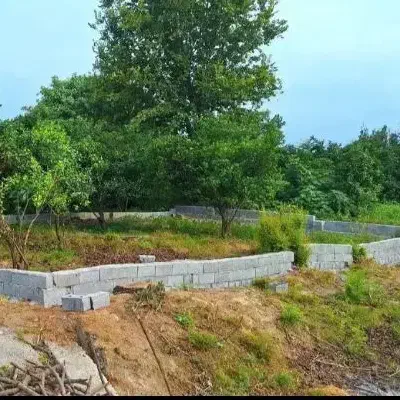 زمین با مجوز ساخت/۲۰۰متر بافت مسکونی سندیکای برگی|فروش زمین و ملک کلنگی|آستانه سرا, |دیوار