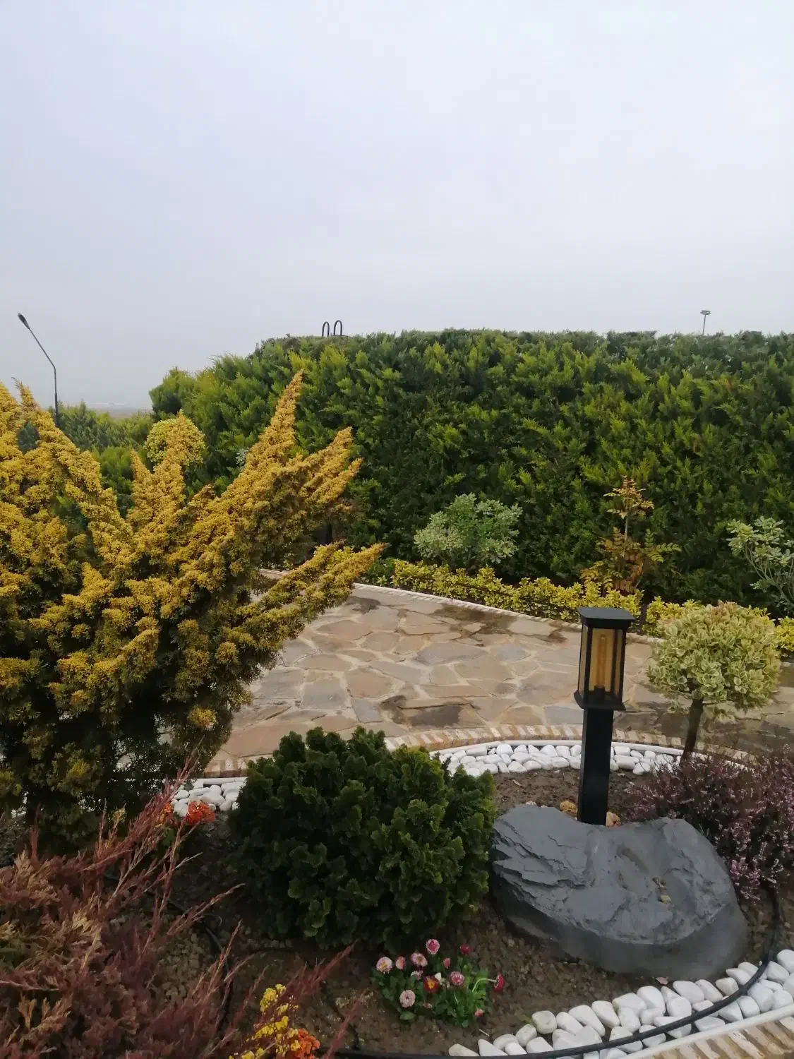 خدمات تمیز کاری ونظافت|خدمات نظافت|محمودآباد, |دیوار