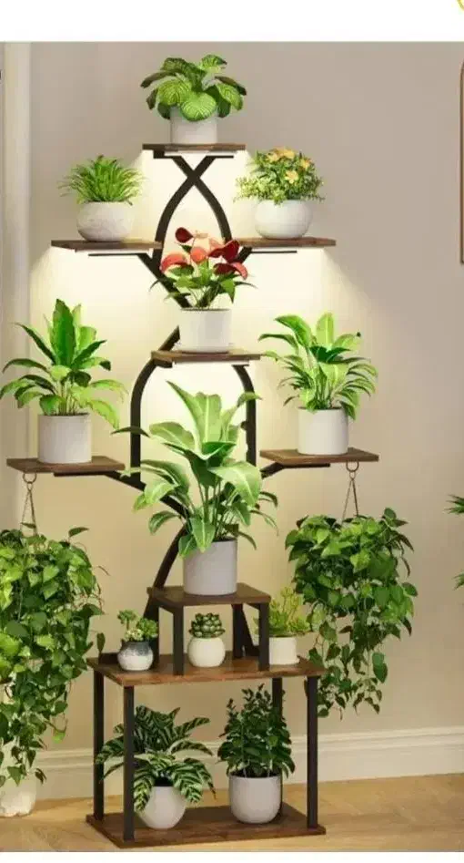 چوب و دکوراسیون دکورال|خدمات پیشه و مهارت|بردسکن, |دیوار