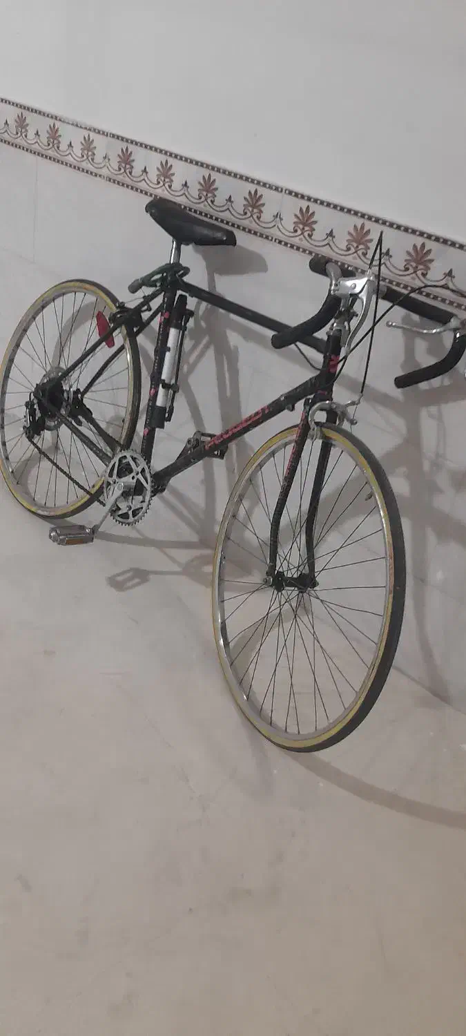 دوچرخه کورسی|دوچرخه، اسکیت، اسکوتر|رباط‌کریم, الارد|دیوار