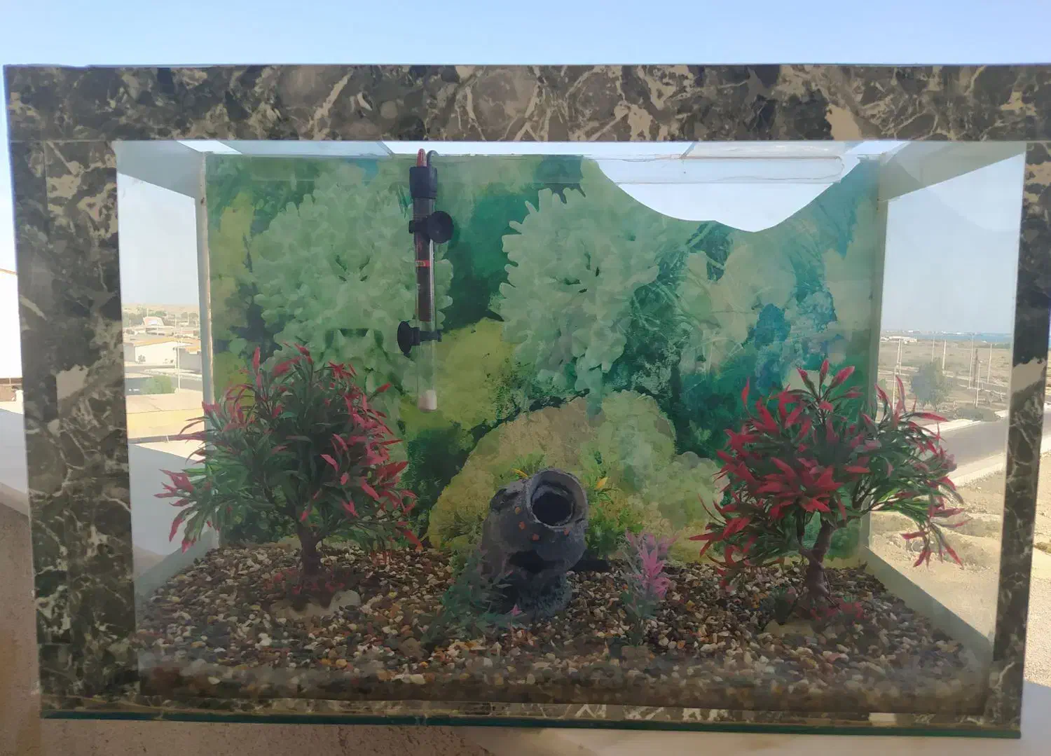 آکواریوم ماهی سایز بزرگ|ماهی|کنارک, |دیوار