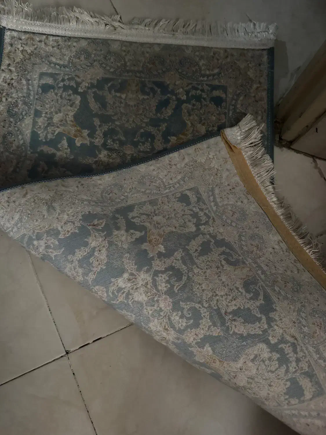 ۳عدد پادری سالم|پادری|کرج, کوی کارمندان جنوبی|دیوار