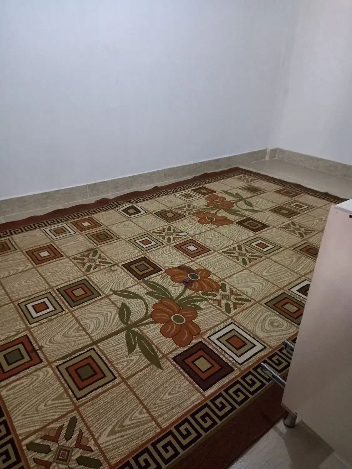 د‌وعددگلیم فرش|گلیم، جاجیم، گبه|سرپل ذهاب, |دیوار