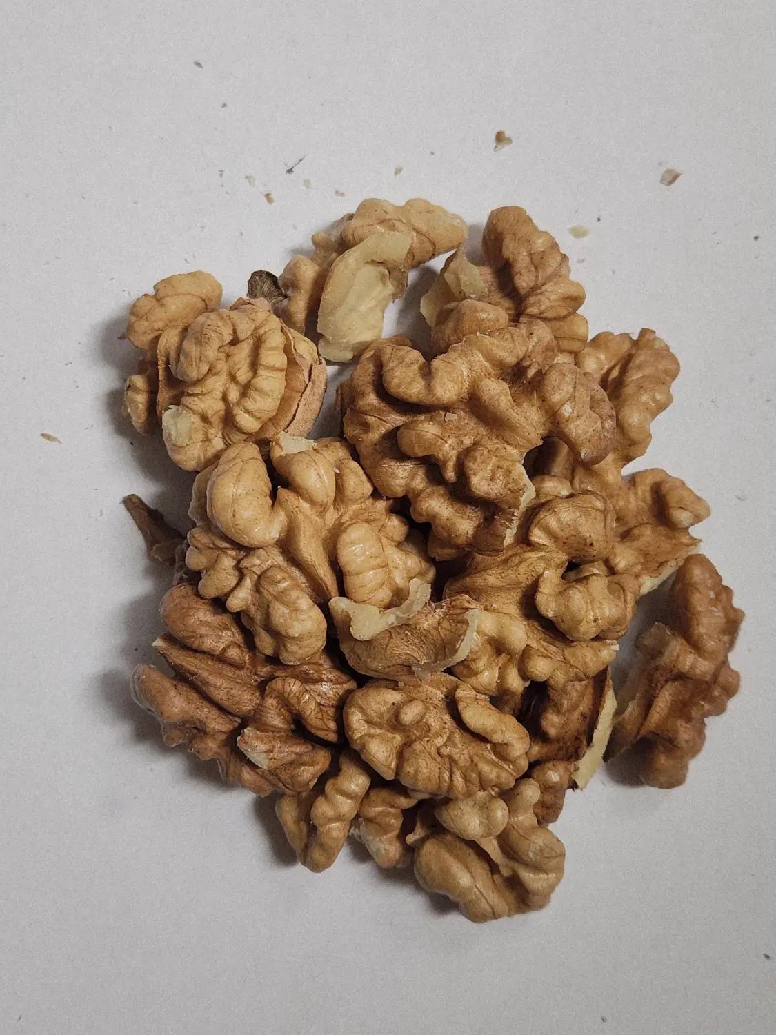 مغز گردو|خوردنی و آشامیدنی|کرج, مطهری|دیوار