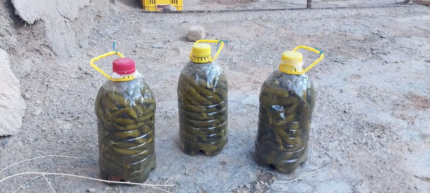 رب وخیارشور محلی هر دوخوشمزه|خوردنی و آشامیدنی|قیدار, |دیوار