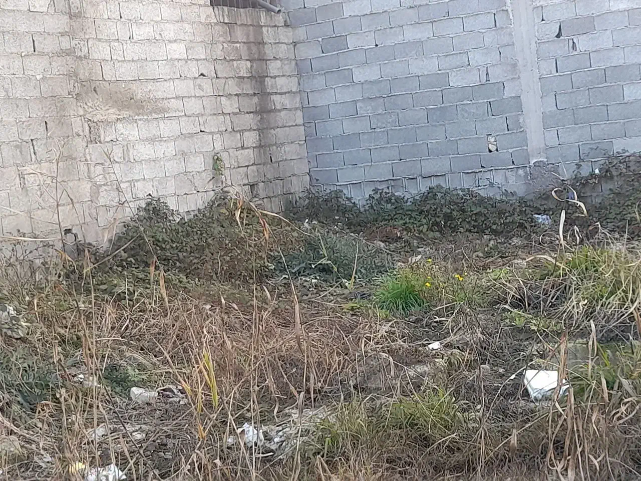 زمین در آسایش ۱۷|فروش زمین و ملک کلنگی|رشت, سلیمانداراب|دیوار