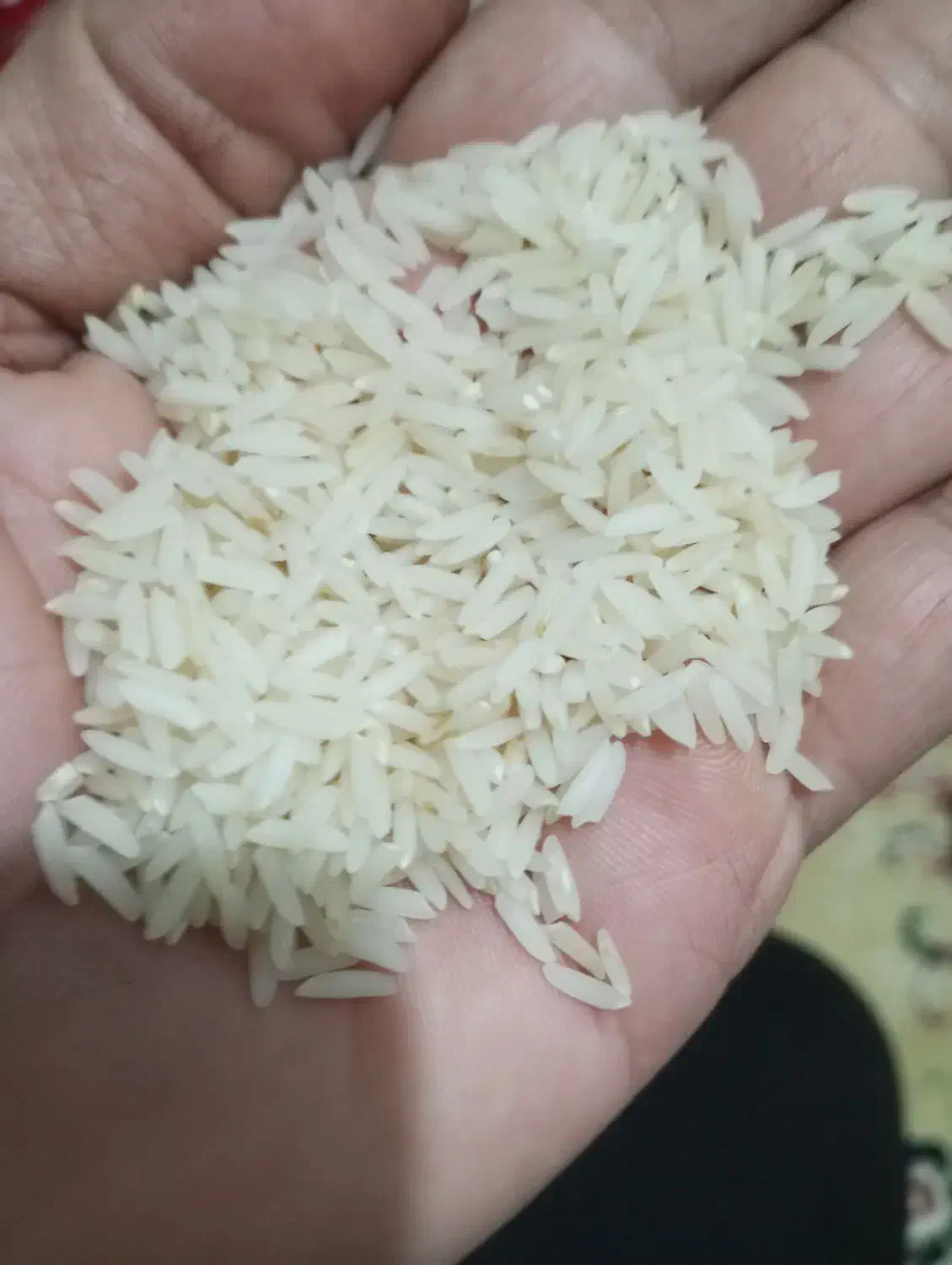 برنج دم سیاه فارسیان|خوردنی و آشامیدنی|آزادشهر, |دیوار