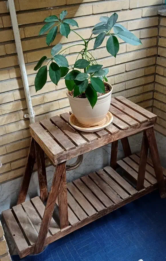 استند گل|کتابخانه، شلف، قفسه‌های دیواری|کرج, اصفهانی‌ها|دیوار