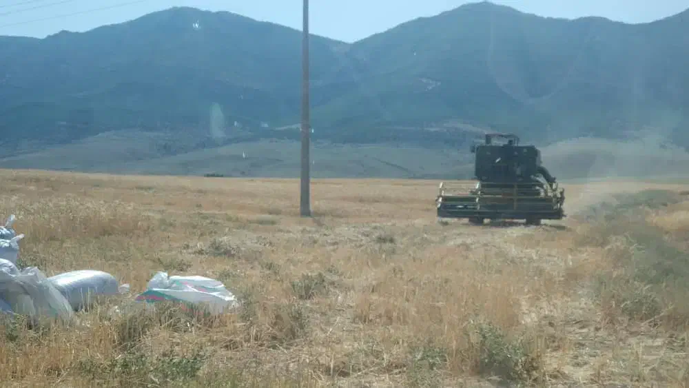 فروش فوری زمین کشاورزی چهاردنگه|فروش زمین و ملک کلنگی|کیاسر, |دیوار