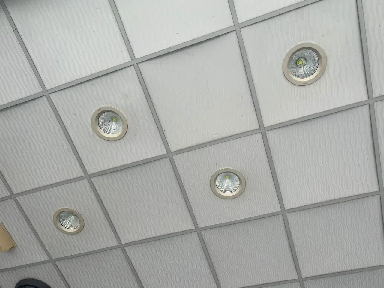 آرم استرانگ(سقف ) لامپهای توکار مغازه|فروشگاه و مغازه|رودبار, |دیوار