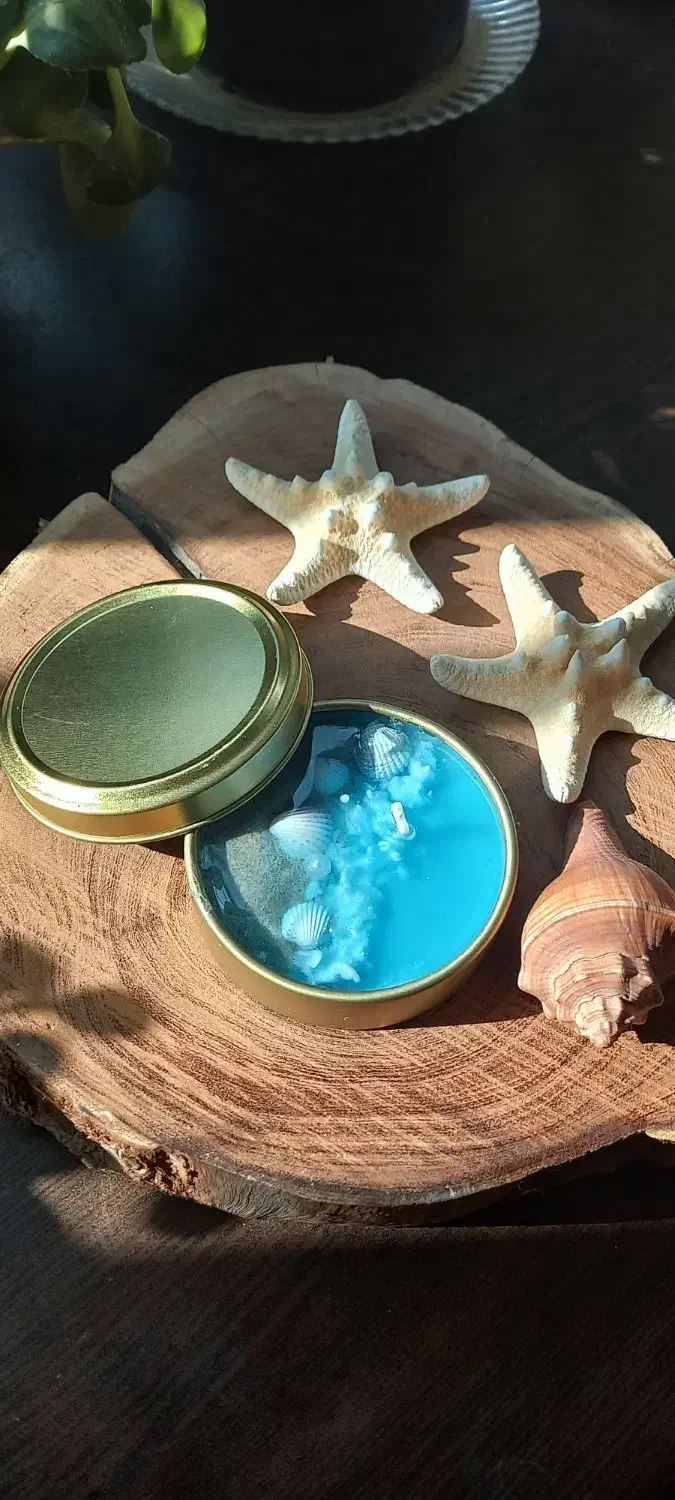 شمع قوطی دریایی|صنایع دستی و سایر لوازم تزئینی|تهران, مشیریه|دیوار