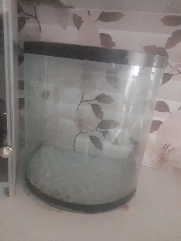 آکواریم|ماهی|مشهد, کارمندان دوم|دیوار