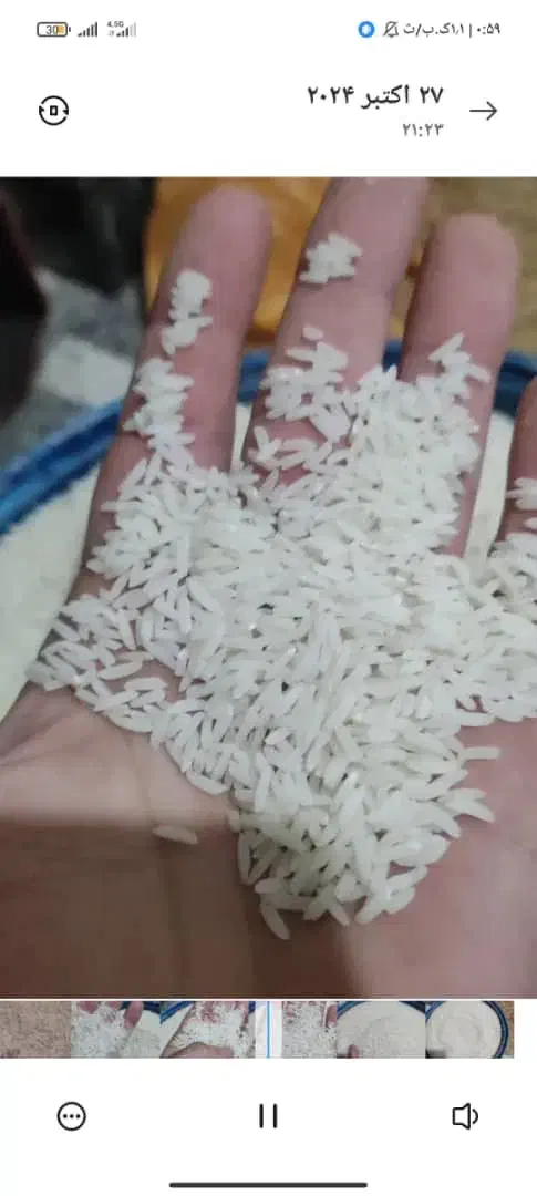 برنج طارم هاشمی.|خوردنی و آشامیدنی|بابکان, |دیوار