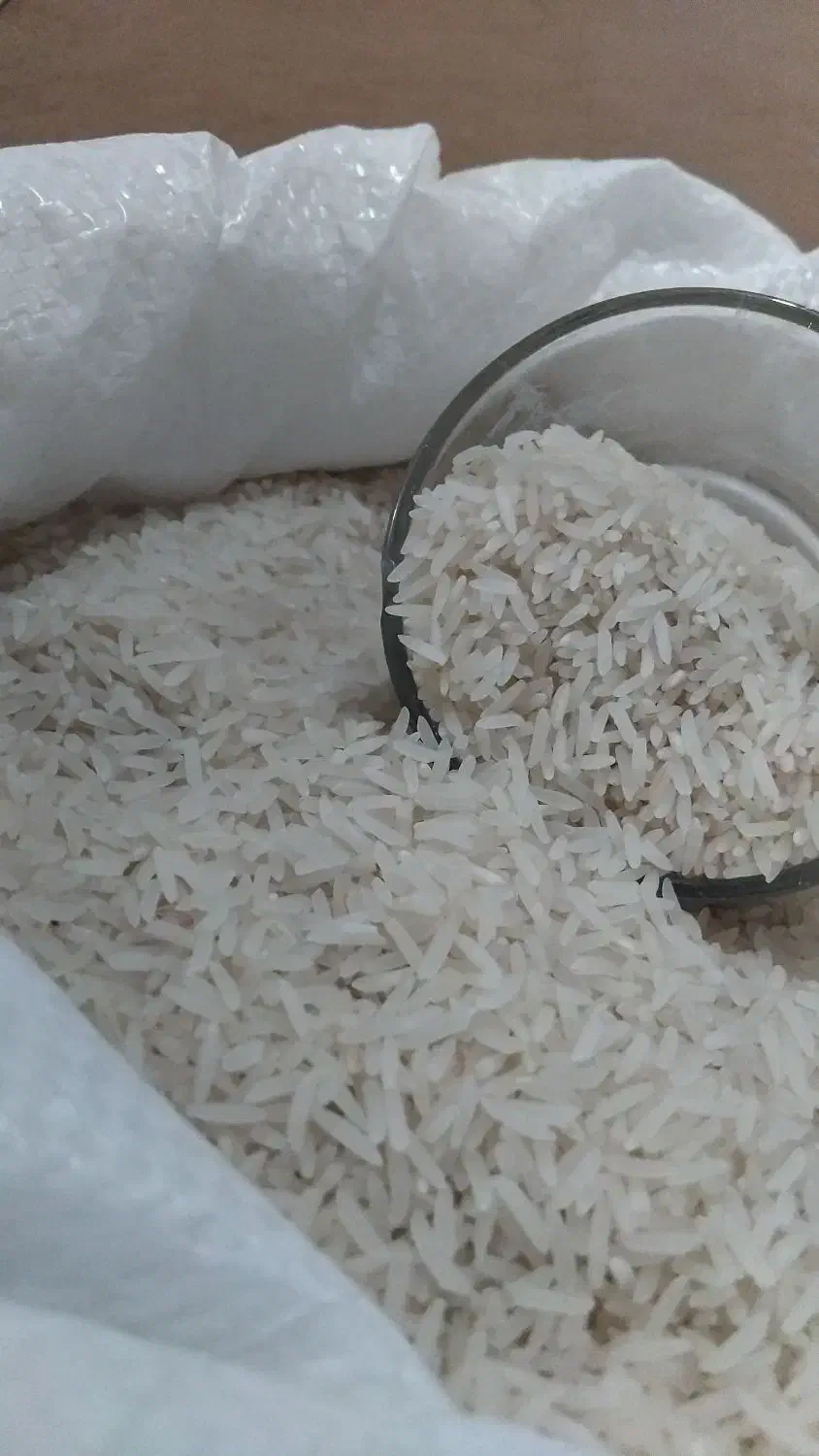 برنج فجر سوزنی|خوردنی و آشامیدنی|گرگان, |دیوار