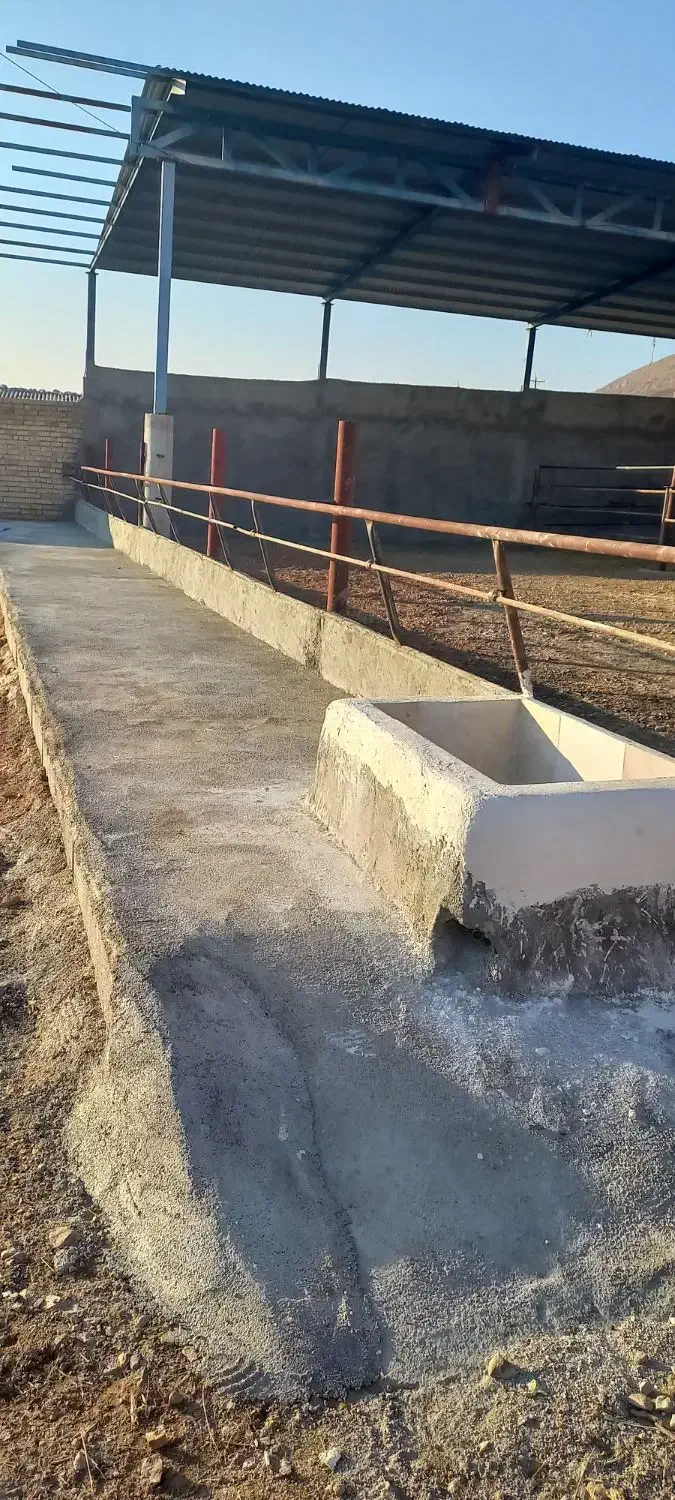 اجاره گاوداری بزرگ و مجهز|اجارهٔ دفتر صنعتی، کشاورزی، تجاری|مرودشت, محمد آباد|دیوار