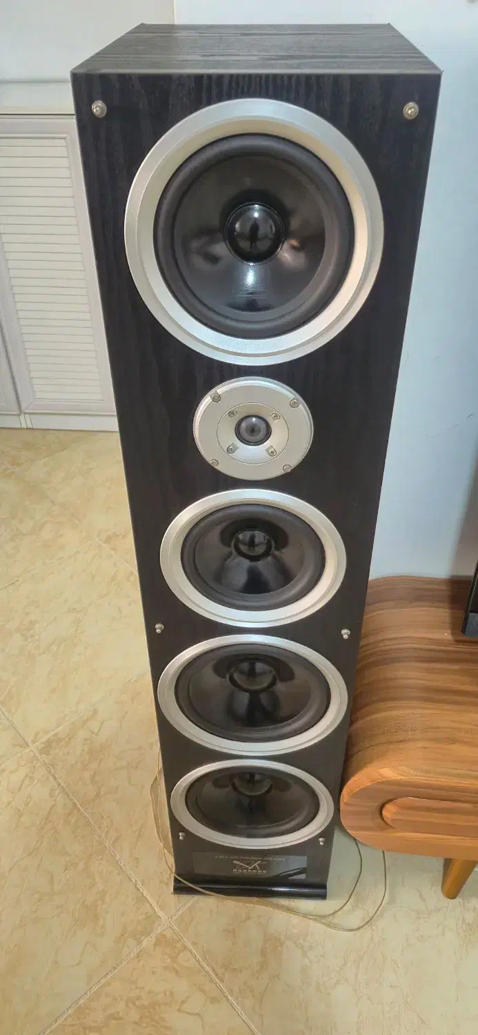 اسپیکر|سیستم صوتی خانگی|پیشوا, |دیوار