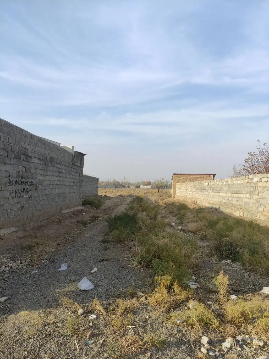 زمین ویلایی در علی ابادظ|فروش زمین و ملک کلنگی|صوفیان, |دیوار