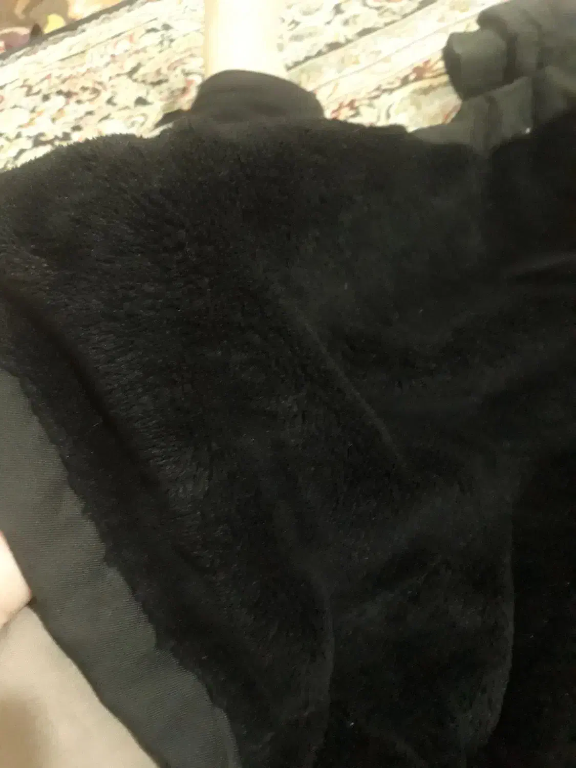 یک عددپالتودرحدنو|لباس|خرمآباد, |دیوار