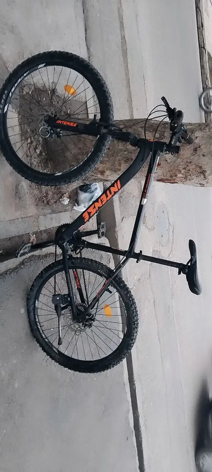 دوچرخه ۲۶|دوچرخه، اسکیت، اسکوتر|گنبد کاووس, |دیوار