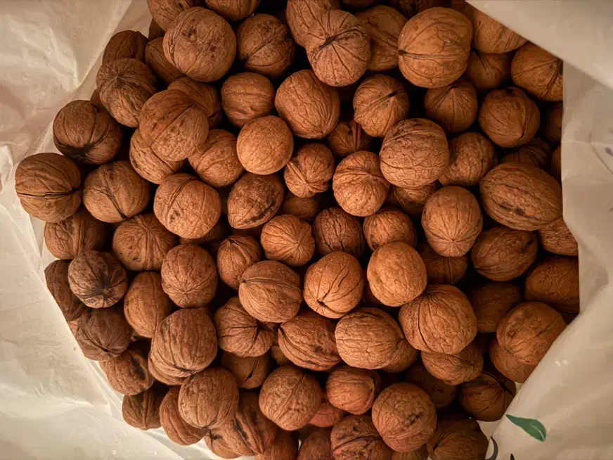 گردوقصردشت|خوردنی و آشامیدنی|شیراز, قصرالدشت|دیوار