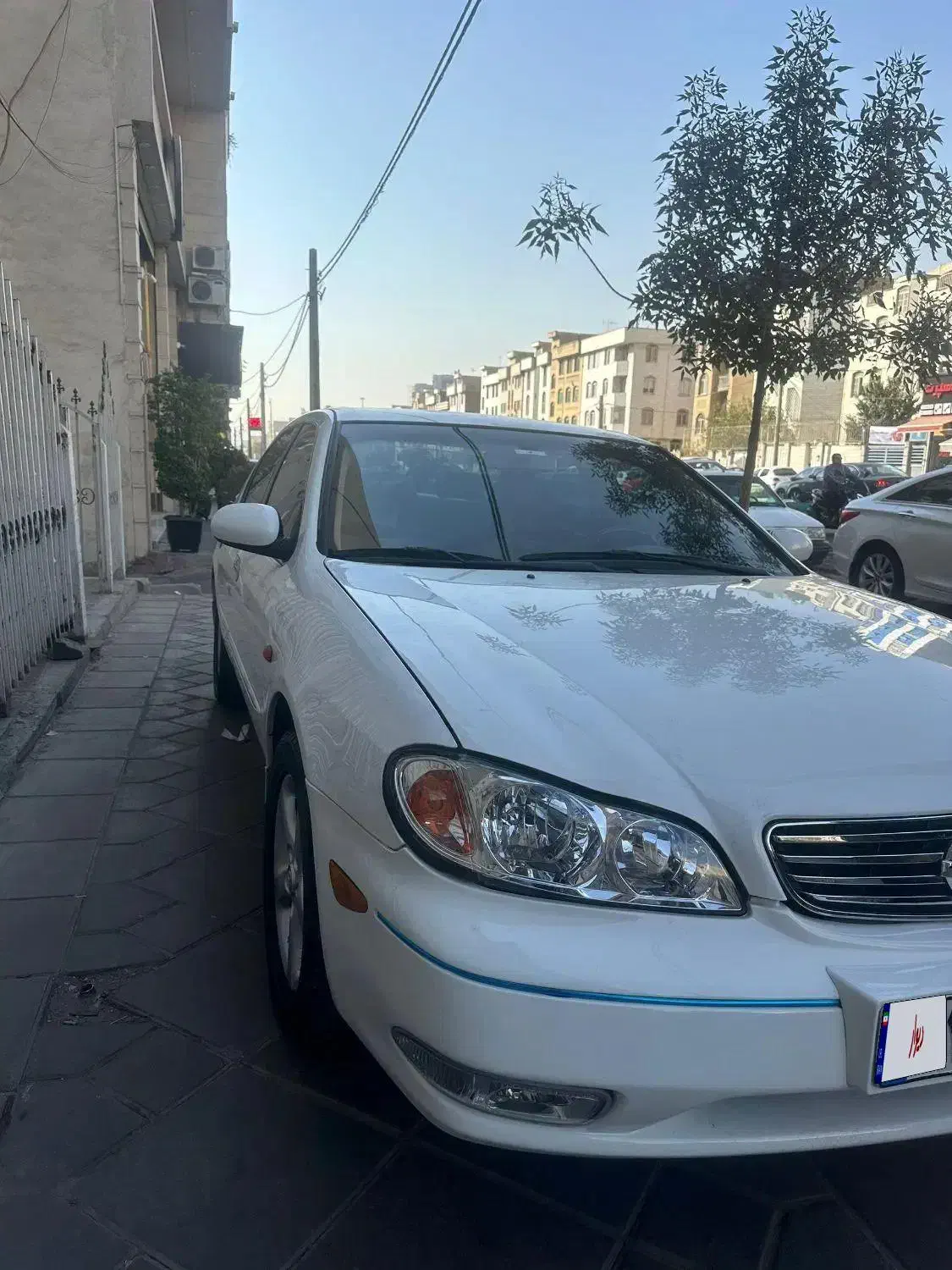 ماکسیما مدل ۸۷ بی رنگ و بدون خط و خش|خودرو سواری و وانت|نور, |دیوار