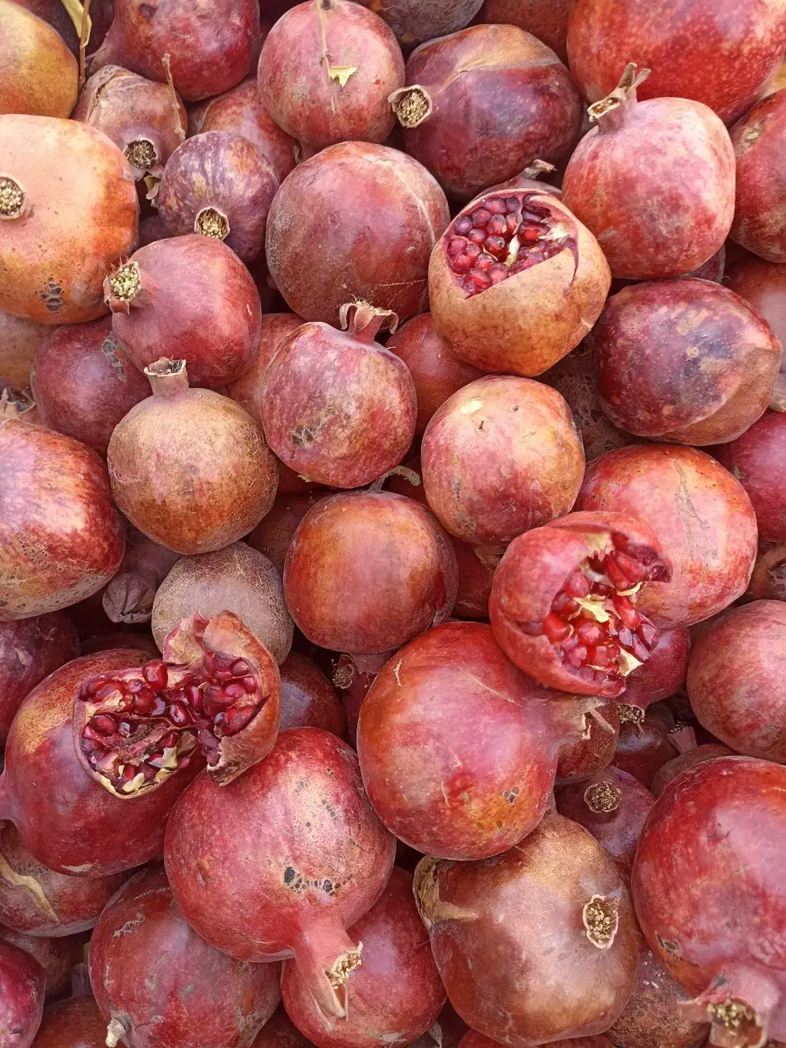 انار ربی دون قرمز|خوردنی و آشامیدنی|سبزوار, عارف|دیوار