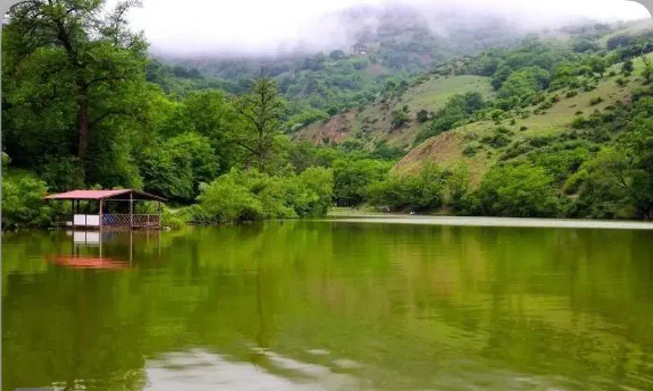 املاک|اجارهٔ خانه و ویلا|مشهد, انقلاب|دیوار