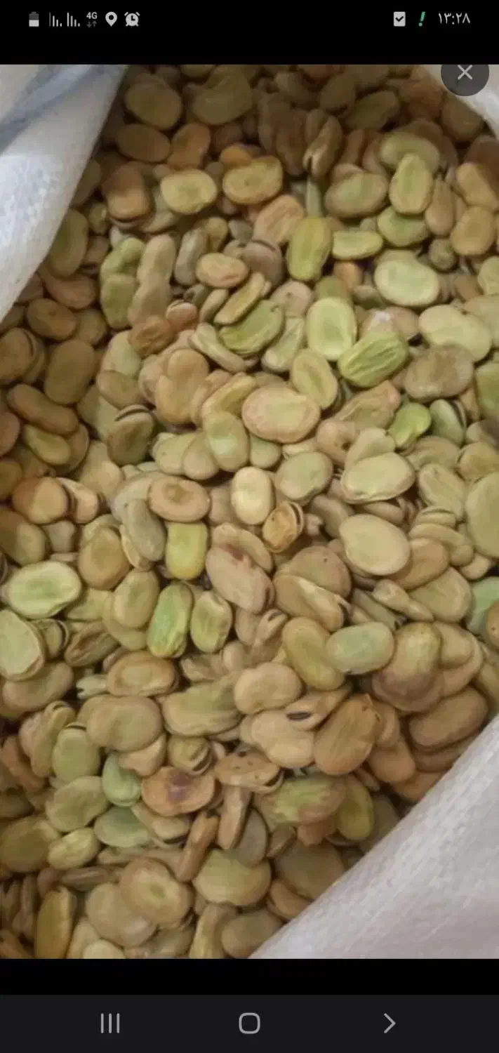 باقله پزا|خوردنی و آشامیدنی|رامهرمز, |دیوار