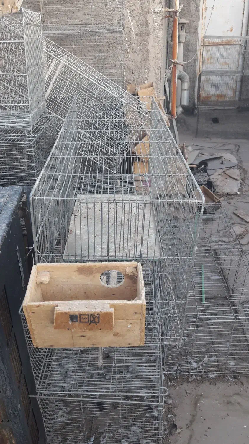 قفس جوجه پرون|لوازم جانبی حیوانات|شهرضا, |دیوار