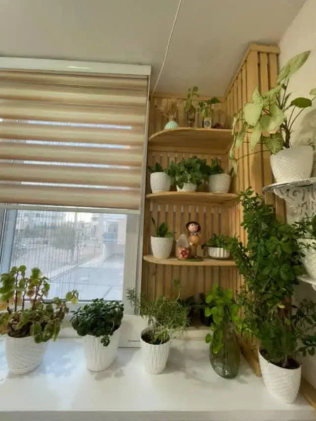 آپارتمان 78 متری گلبهار|فروش آپارتمان|گلبهار, شهر جدید گلبهار|دیوار