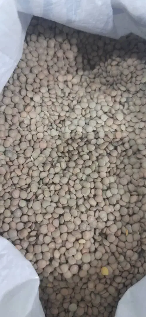 فروش حبوبات عسل کشمش برنج وخرده فجر باکیفیت|خوردنی و آشامیدنی|صدرا-فارس, فاز ۲|دیوار