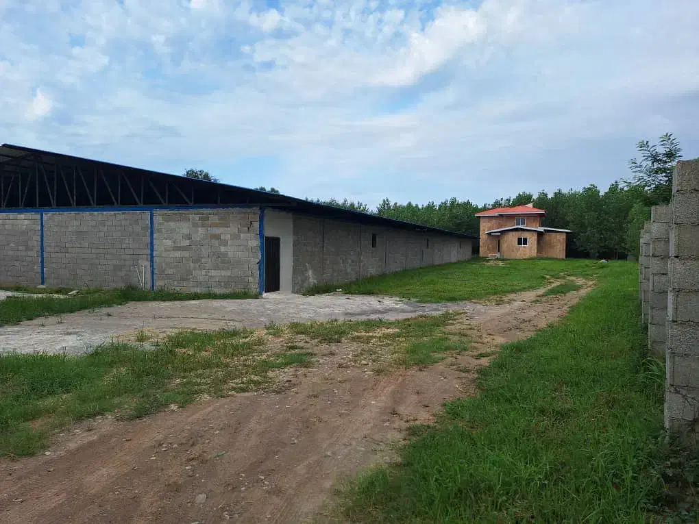 فروش سوله تجهیز شده برای پرورش آبزیان|فروش دفتر صنعتی، کشاورزی، تجاری|رشت, بلوار گیلان|دیوار