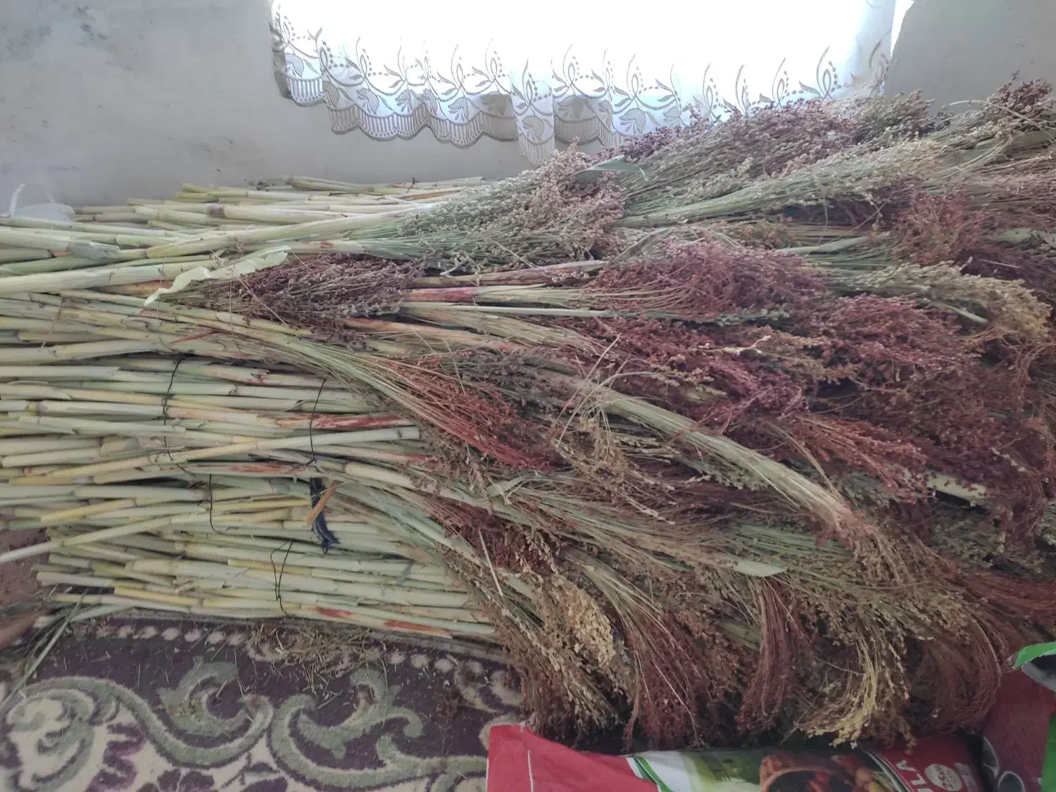 جارو شهری قرمز درجه ۱|لوازم نظافت|کرمانشاه, |دیوار