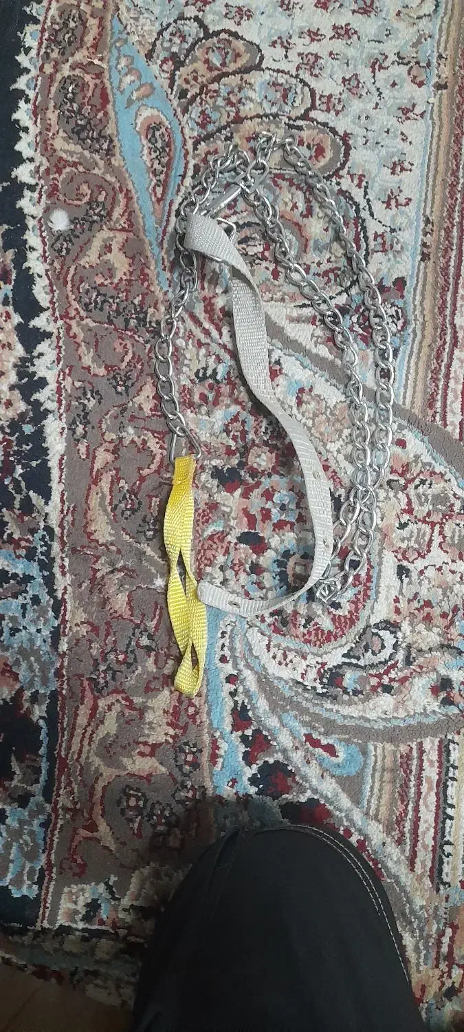 زنجیر سگ ا متر قیمت ۳۰۰|لوازم جانبی حیوانات|تربت جام, یحیی آباد|دیوار