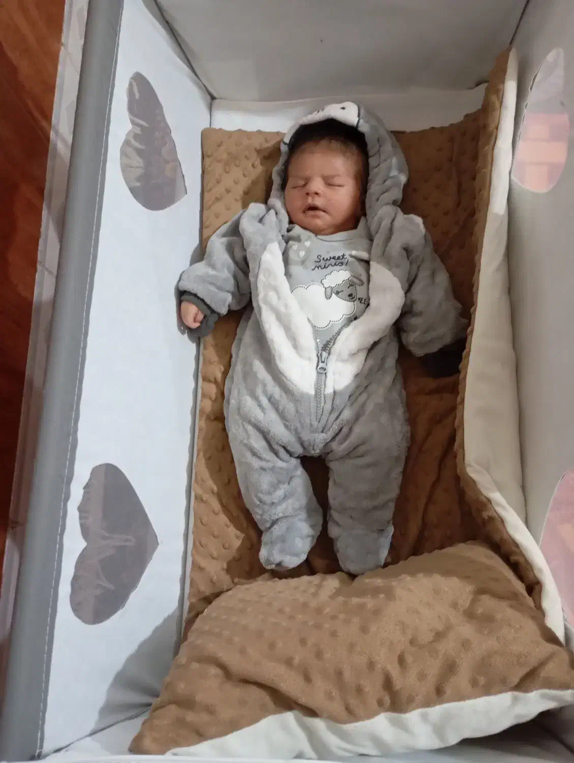 گهواره کلبه فرشتگان|تخت و صندلی بچه|بیرجند, |دیوار