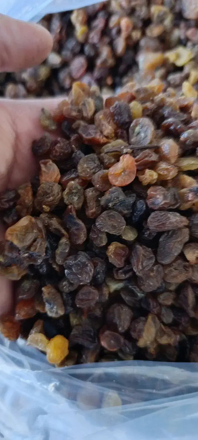 کشمش ابگیری|خوردنی و آشامیدنی|ملایر, |دیوار