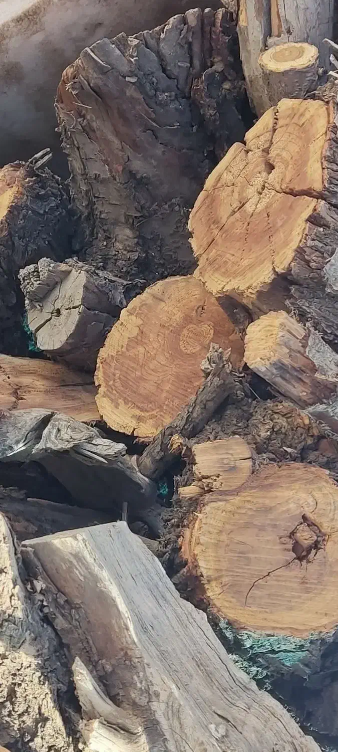 چوب شومینه ای خیلی خشک استثنایی انواع کنده وچوب|عمدهفروشی|تفت, |دیوار