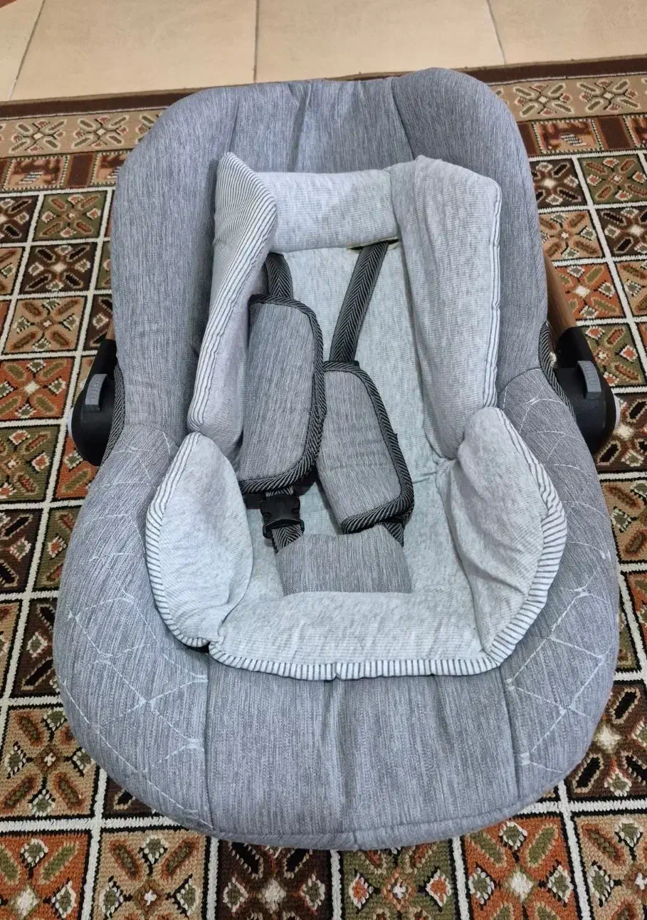 کالسکه و کریر|کالسکه و لوازم جانبی|مبارکه, |دیوار