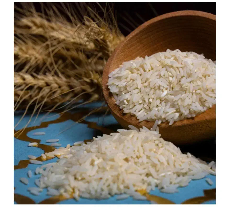 فروش برنج شیرودی|خوردنی و آشامیدنی|بندر گز, |دیوار