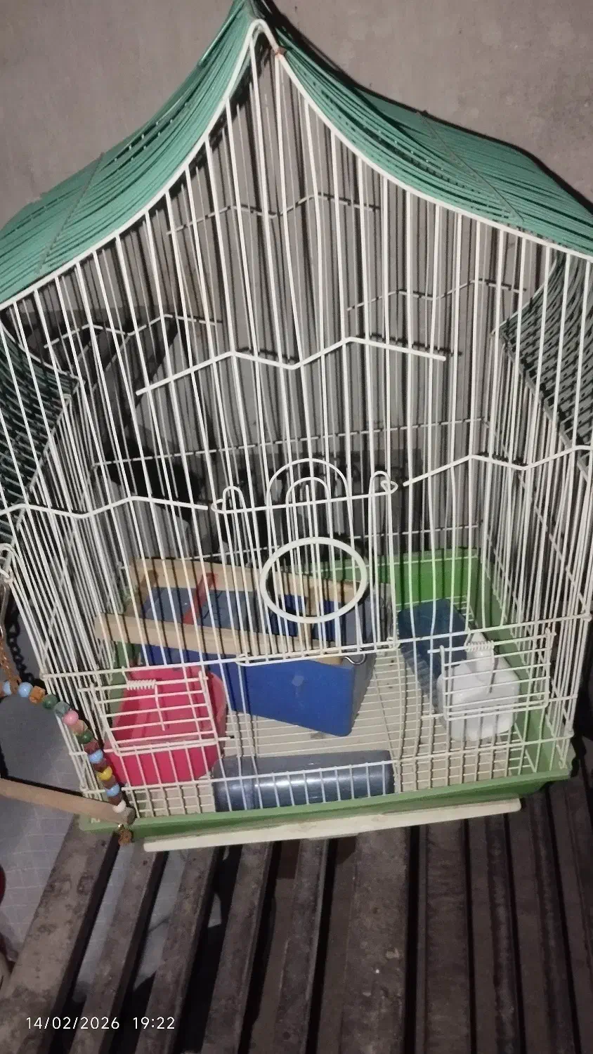 قفس پرنده|لوازم جانبی حیوانات|ساوه, |دیوار