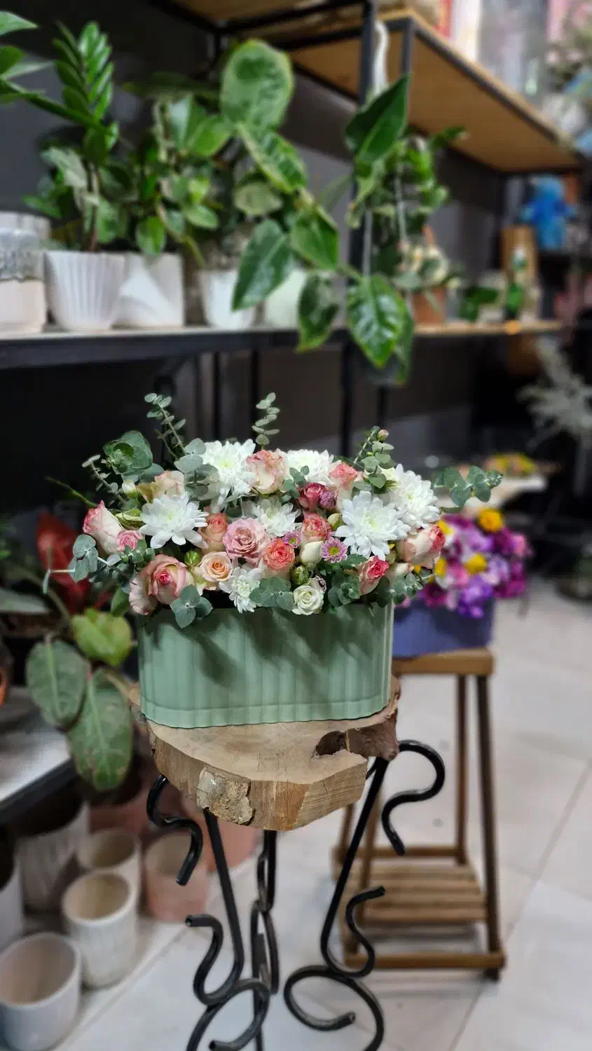 باکس گل|گل و گیاه طبیعی|مشهد, شهرک امام هادی (شهرک غرب)|دیوار