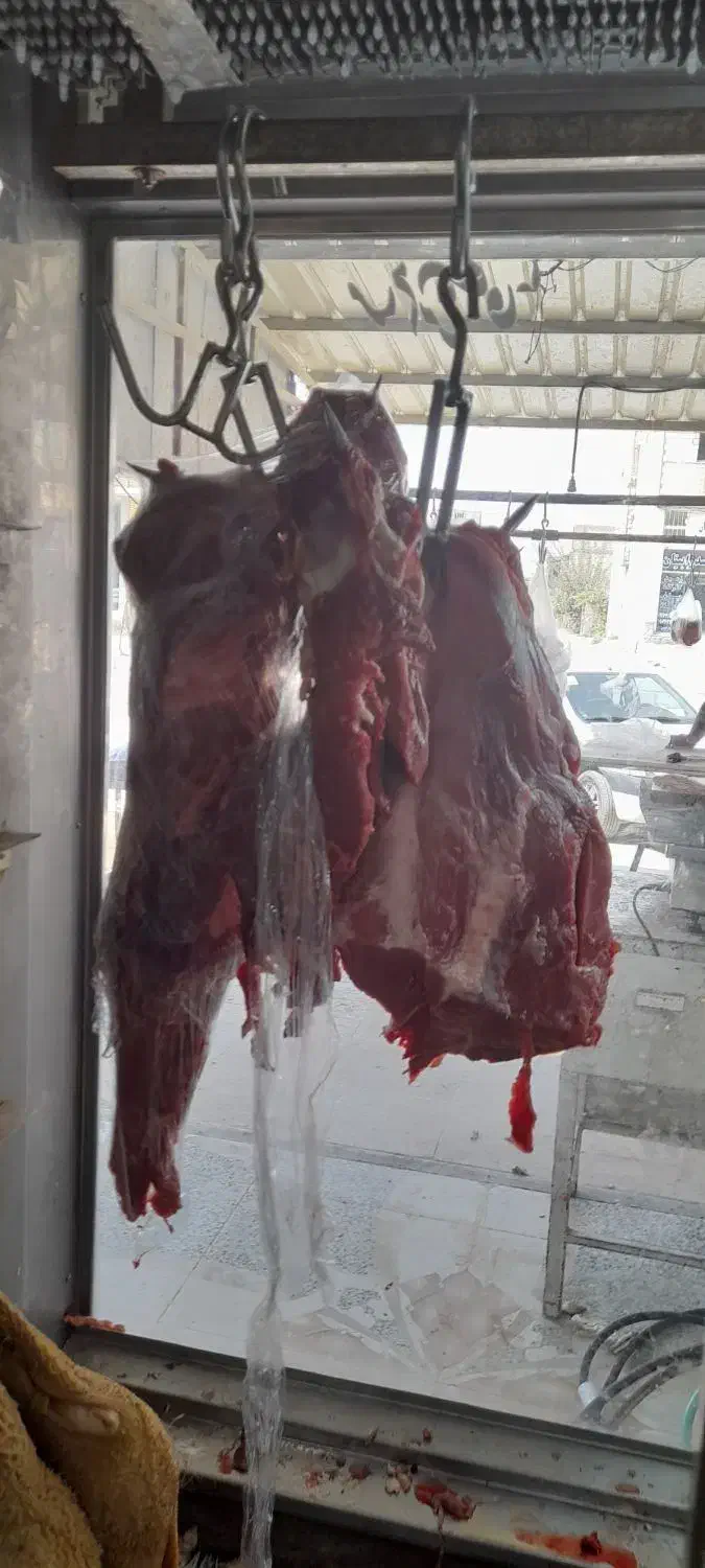 قصاب وسلاخ ماهر|استخدام خدمات فروشگاه و رستوران|شیراز, کرونی(خاتونک)|دیوار