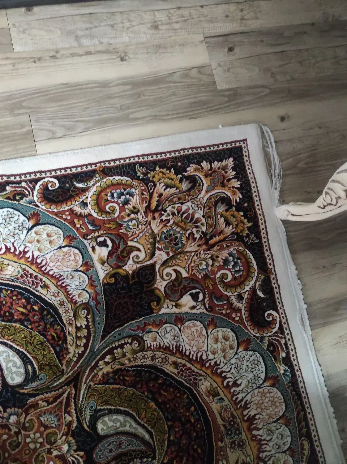 فرش ۹متری کاشان|فرش|رشت, یخسازی|دیوار