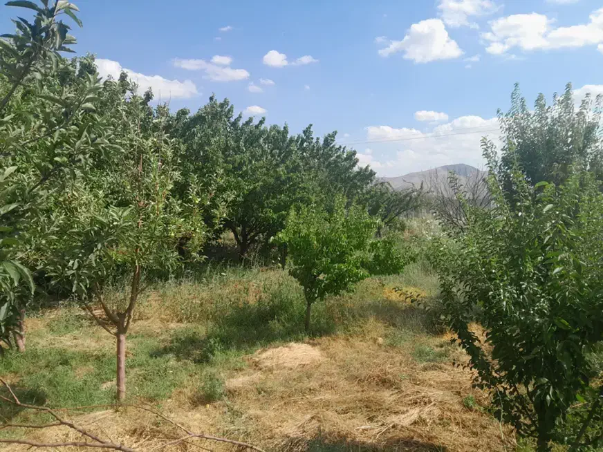 باغ|فروش زمین و ملک کلنگی|گرمخان, |دیوار