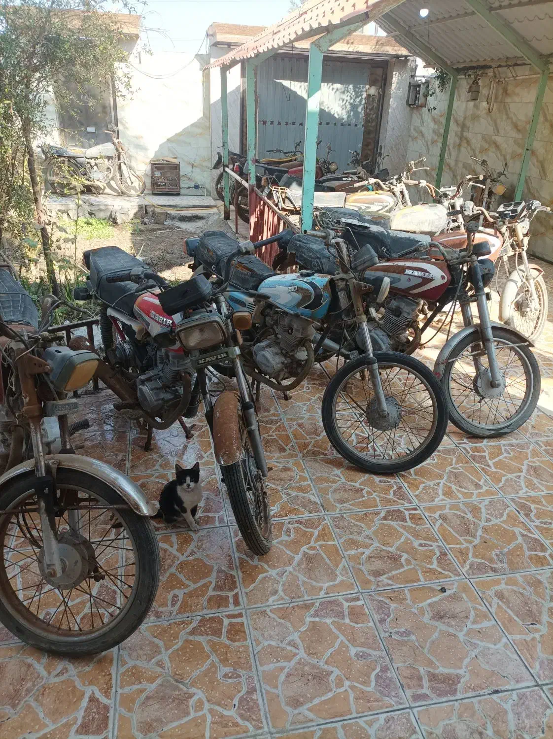 نوع موتور پارکینگی تعداد تکی|موتورسیکلت|آبادان, |دیوار