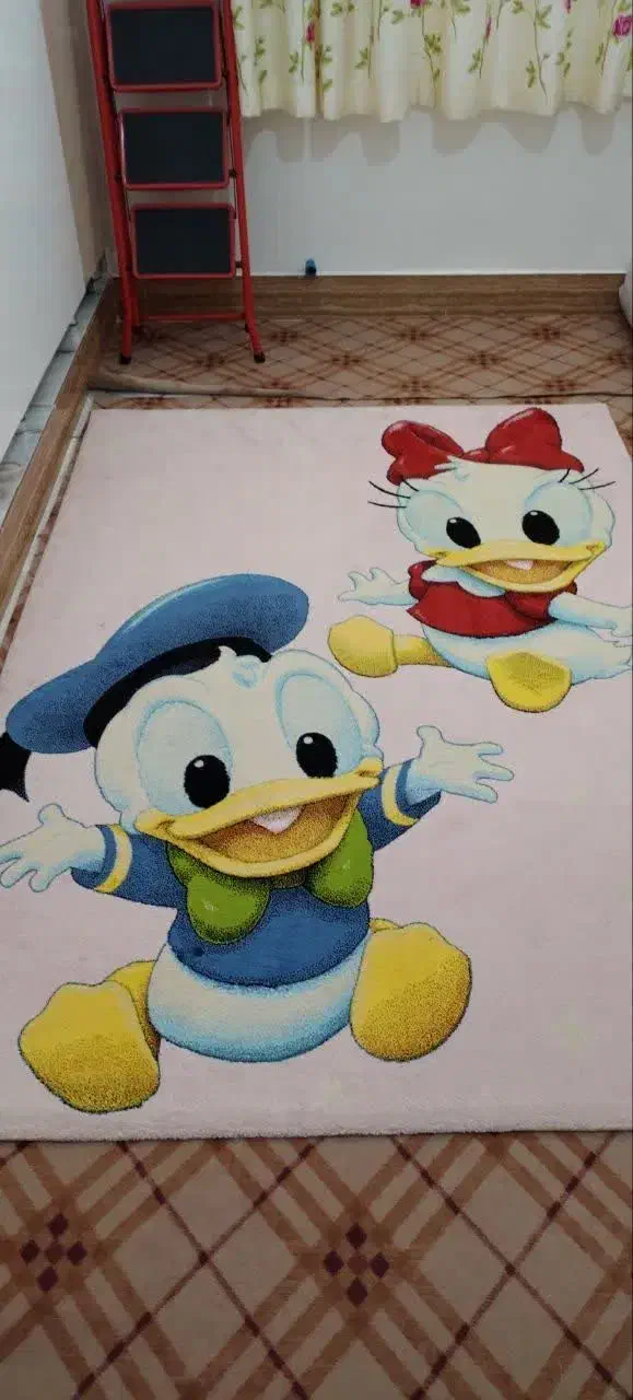 فرش ۳متری کودک|فرش|مرودشت, ثبت احوال|دیوار