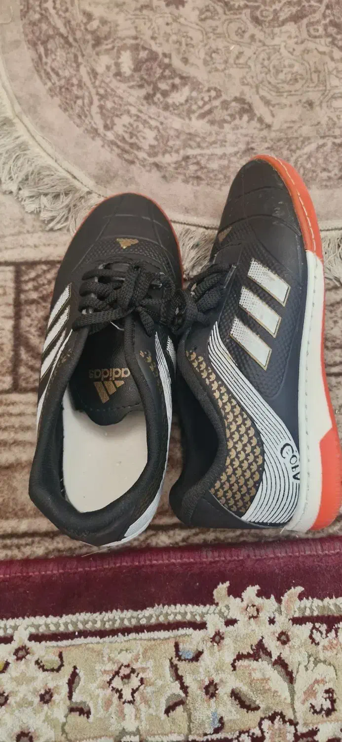 کفش سالنی|کیف، کفش، کمربند|شهرضا, |دیوار