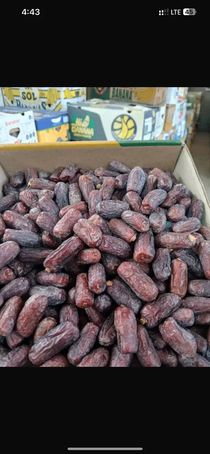 پیارم مجول|خوردنی و آشامیدنی|تهران, اختیاریه|دیوار